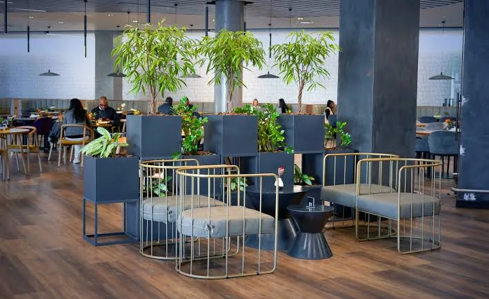 Charcoal planter screens holding indoor trees dividing lounge seating in an office canteen