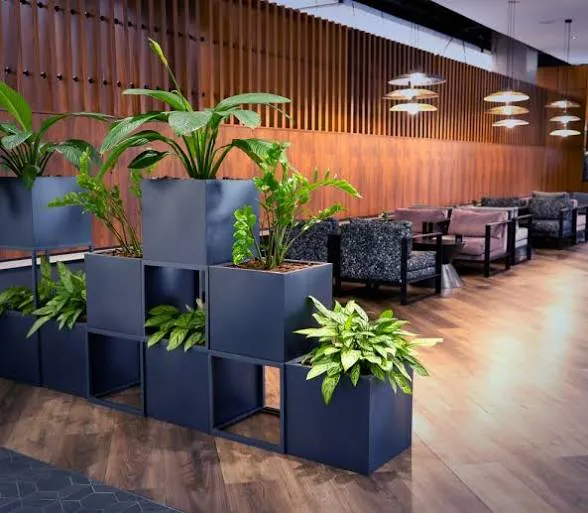 Stacked charcoal cube planters filled with tropical foliage beside timber walling in a reception lounge