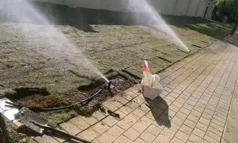 Pop-up irrigation sprinklers spraying across a freshly laid lawn beside a paved walkway