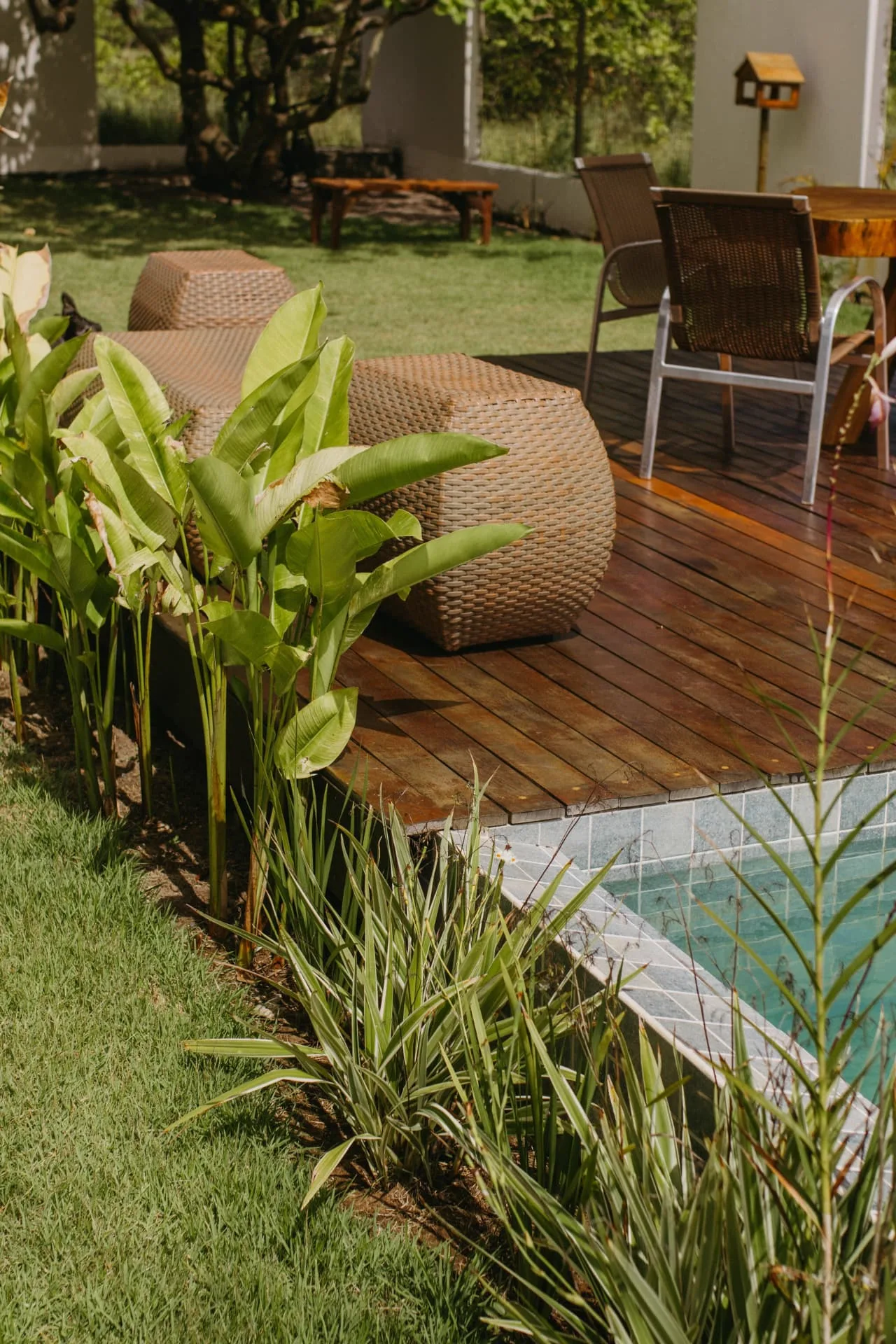 Hardwood pool deck with outdoor seating set into a tropical planted garden beside a lawn