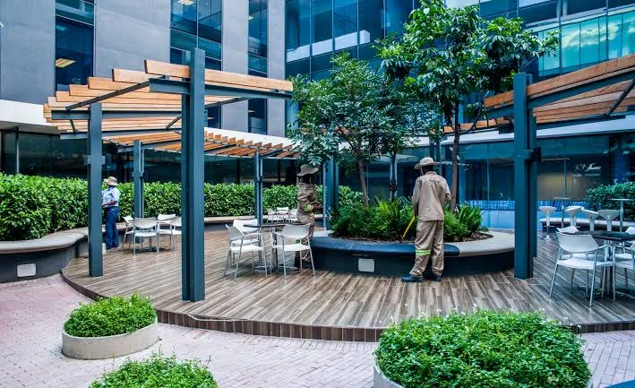 Grounds team maintaining raised planted beds on a timber office courtyard deck under steel pergolas