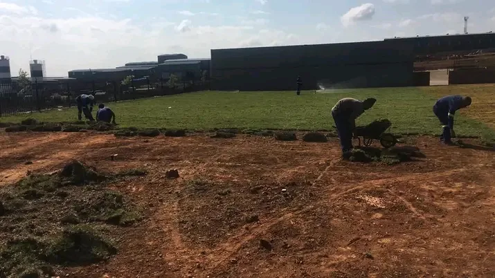 Crew laying instant lawn rolls across a large open area in front of a commercial building