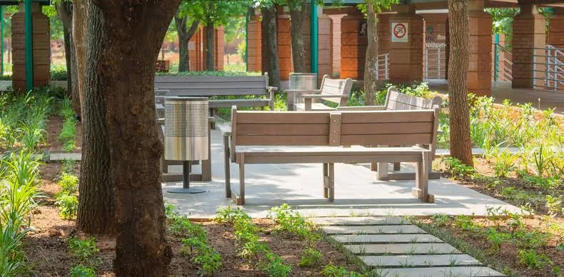 Paved park walkway with timber benches, litter bins and young planting under mature shade trees