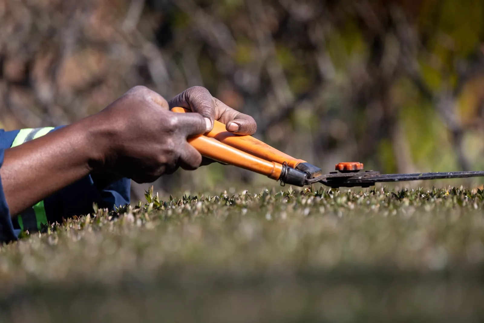 Close-up of a gardener trimming a lawn edge with hand shears during a maintenance visit